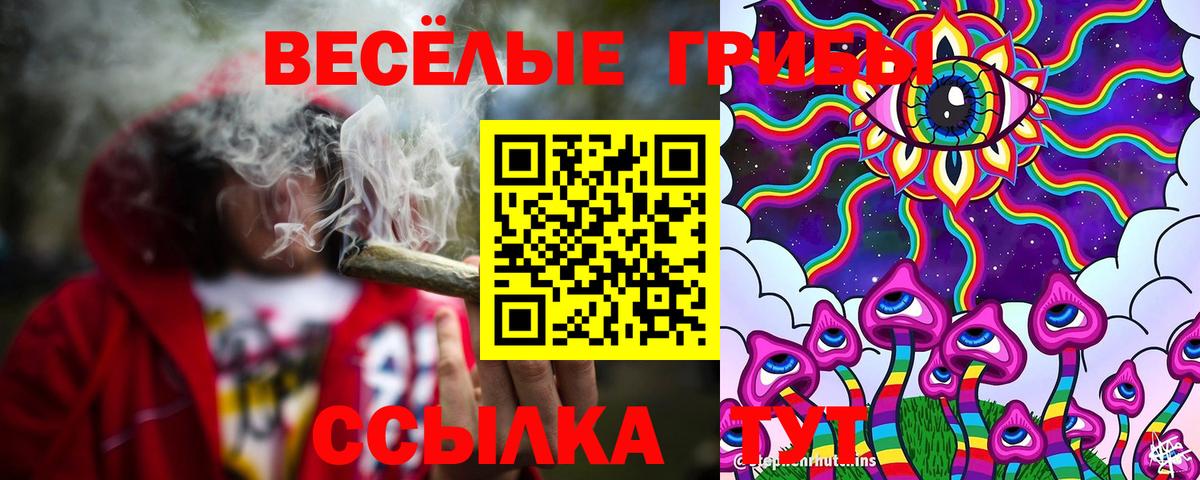 Псилоцибиновые грибы MAGIC MUSHROOMS Курчатов